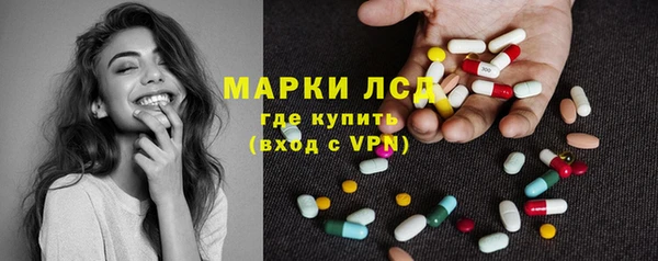 трава Медвежьегорск