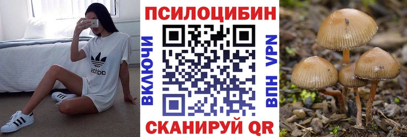 OMG как зайти  Тихорецк  Галлюциногенные грибы MAGIC MUSHROOMS  купить наркотики сайты 