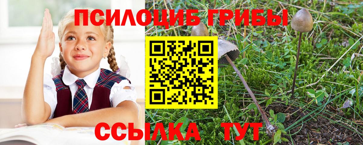 Тихорецк  Псилоцибиновые грибы MAGIC MUSHROOMS  Вход с VPN 